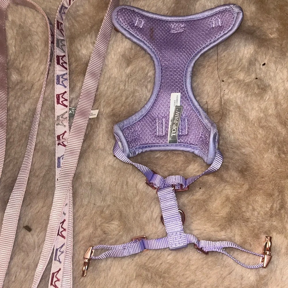 Leash harness collar combo
